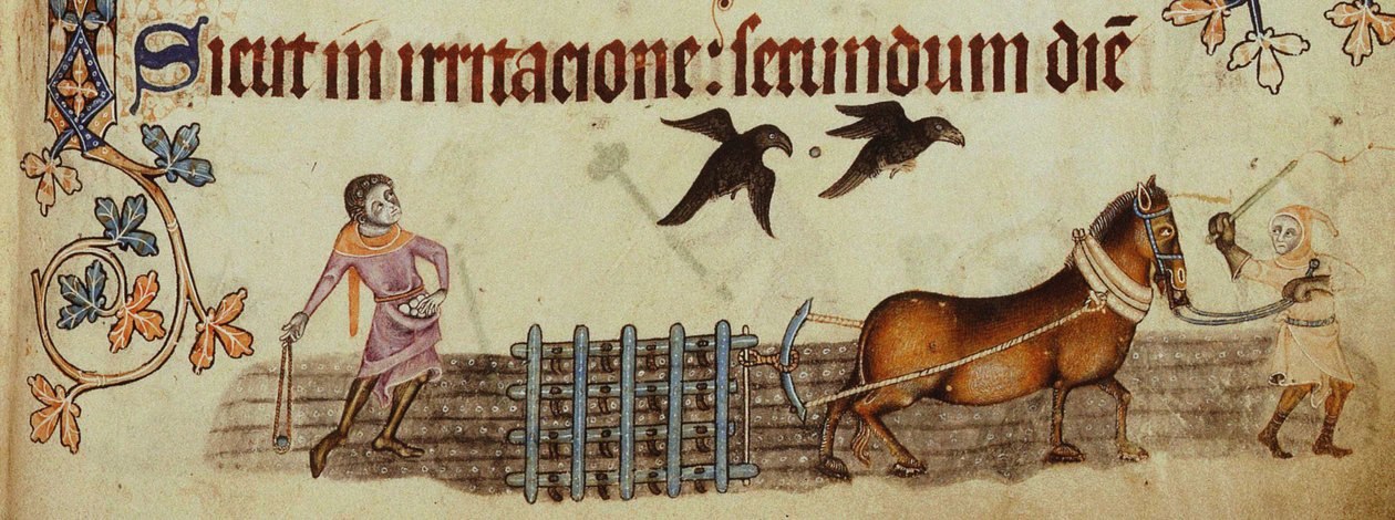 Peasants ploughing from the Luttrell Psalter by Unbekannt