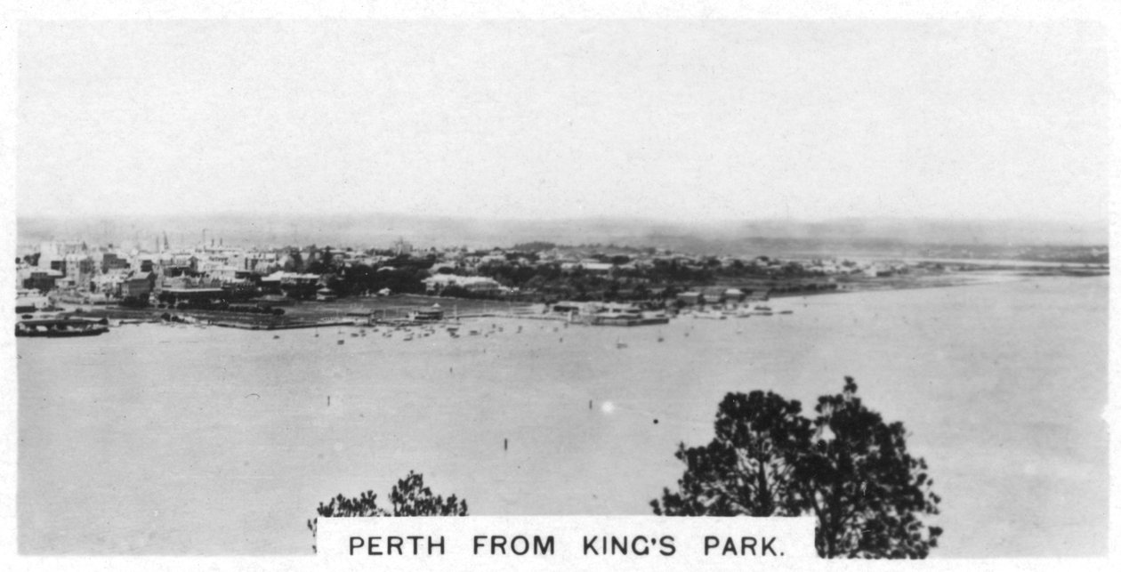 Perth from Kings Park, Western Australia by Unbekannt