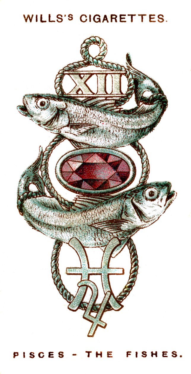 Pisces, The Fishes by Unbekannt