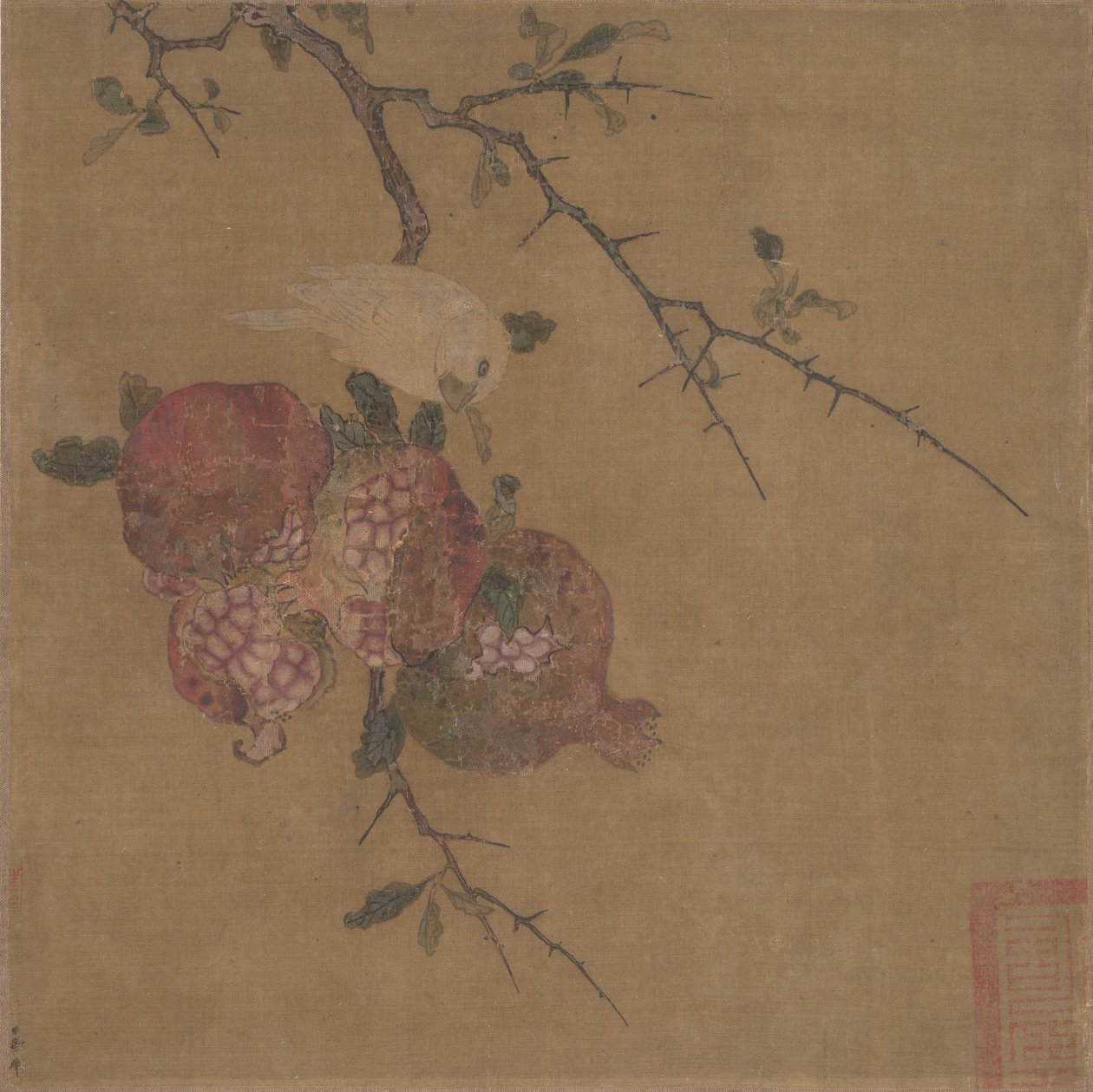 Pomegranates by Unbekannt
