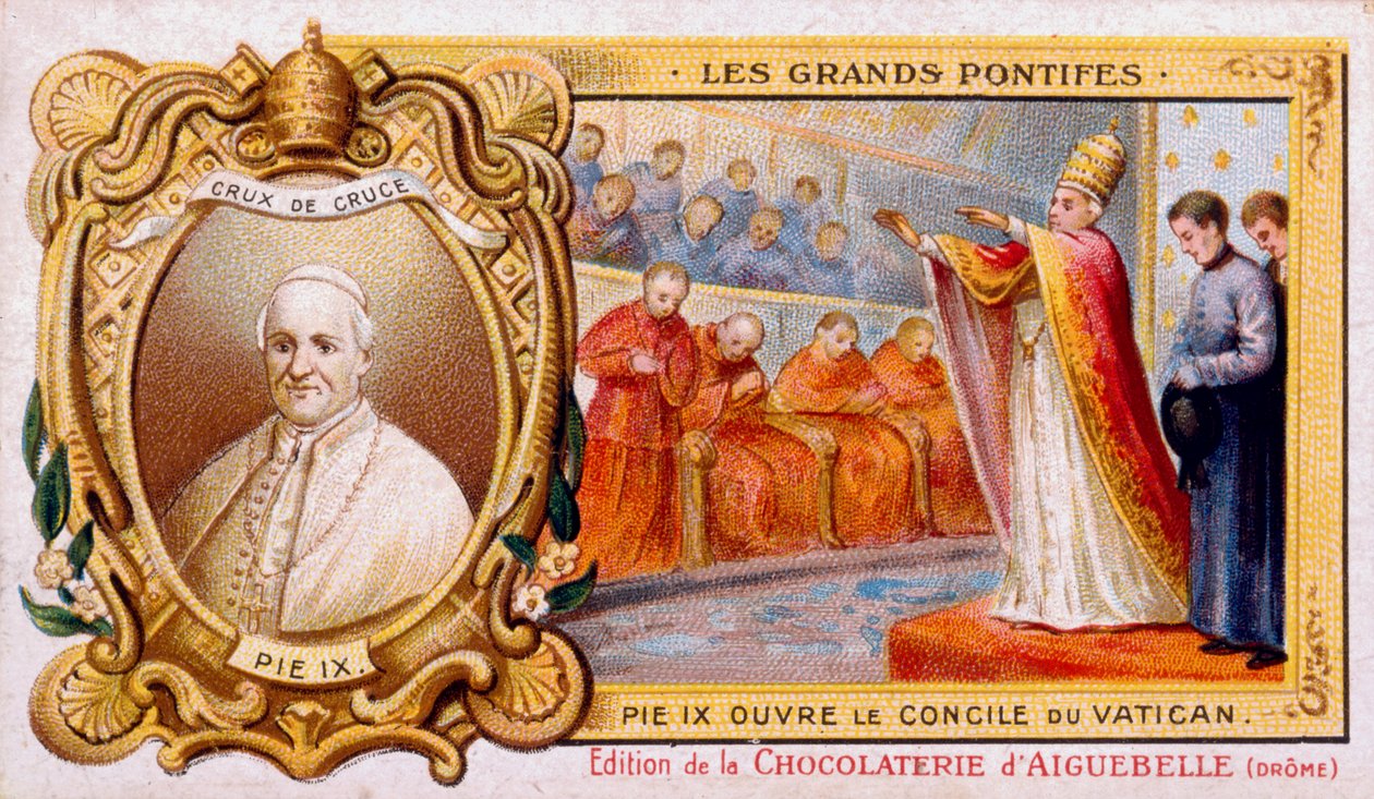 Pope Pius IX by Unbekannt