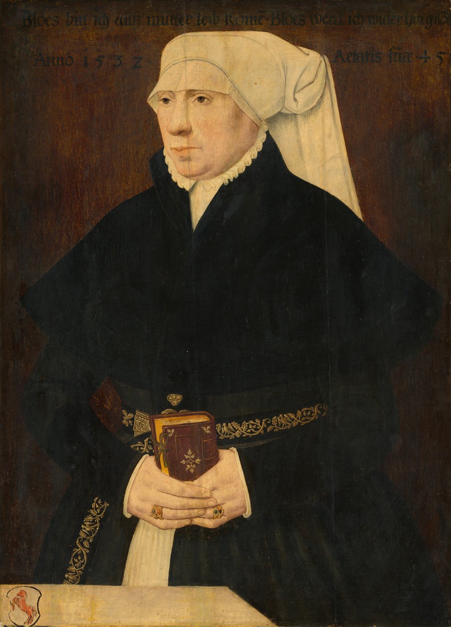 Portrait of a Lady by Unbekannt