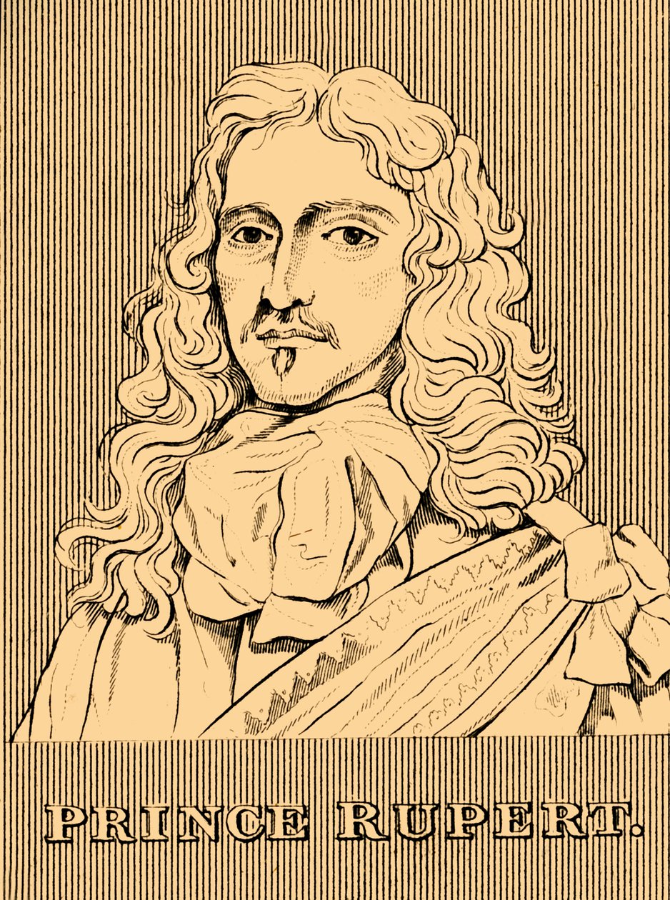 Prince Rupert by Unbekannt