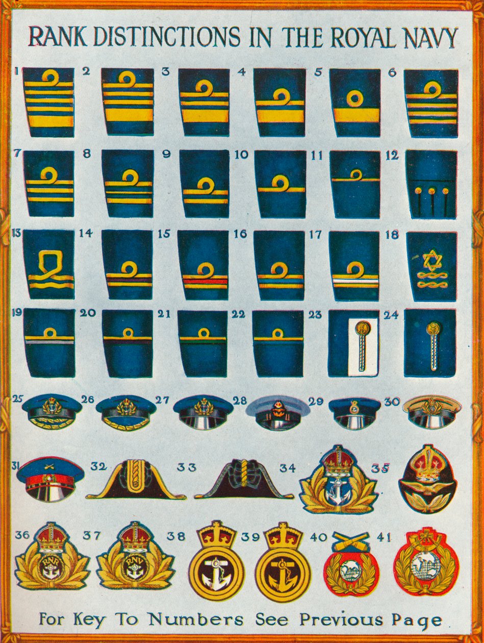 Rank distinctions in the Royal Navy, c1919 by Unbekannt