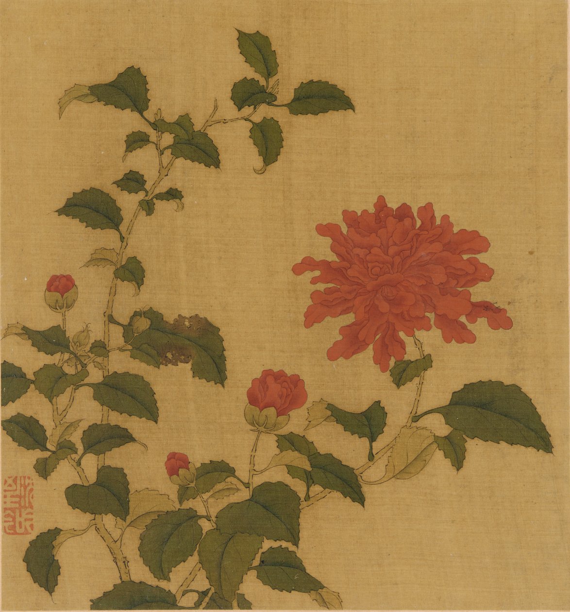 Red Peony by Unbekannt