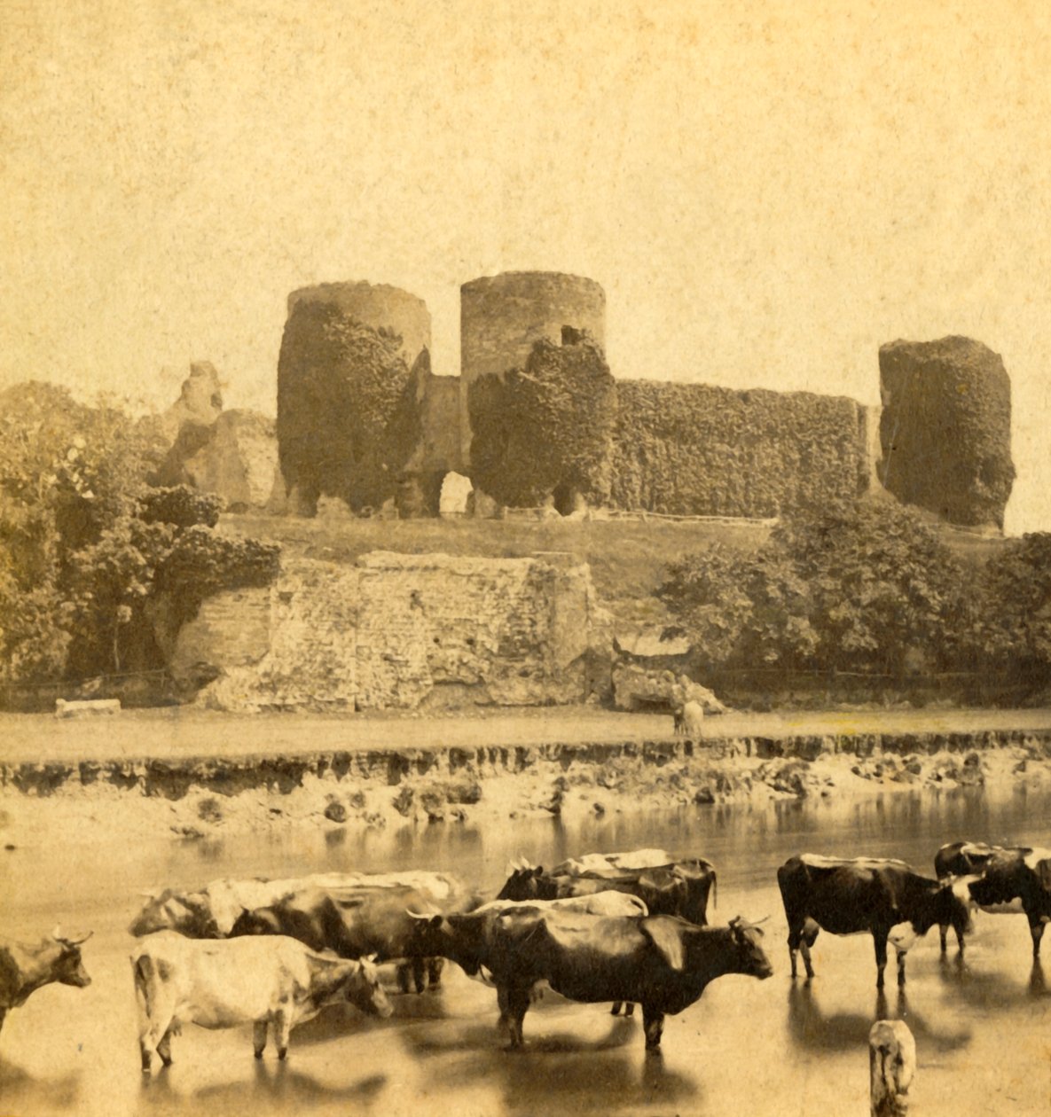 Rhuddlan - Castle from the River by Unbekannt