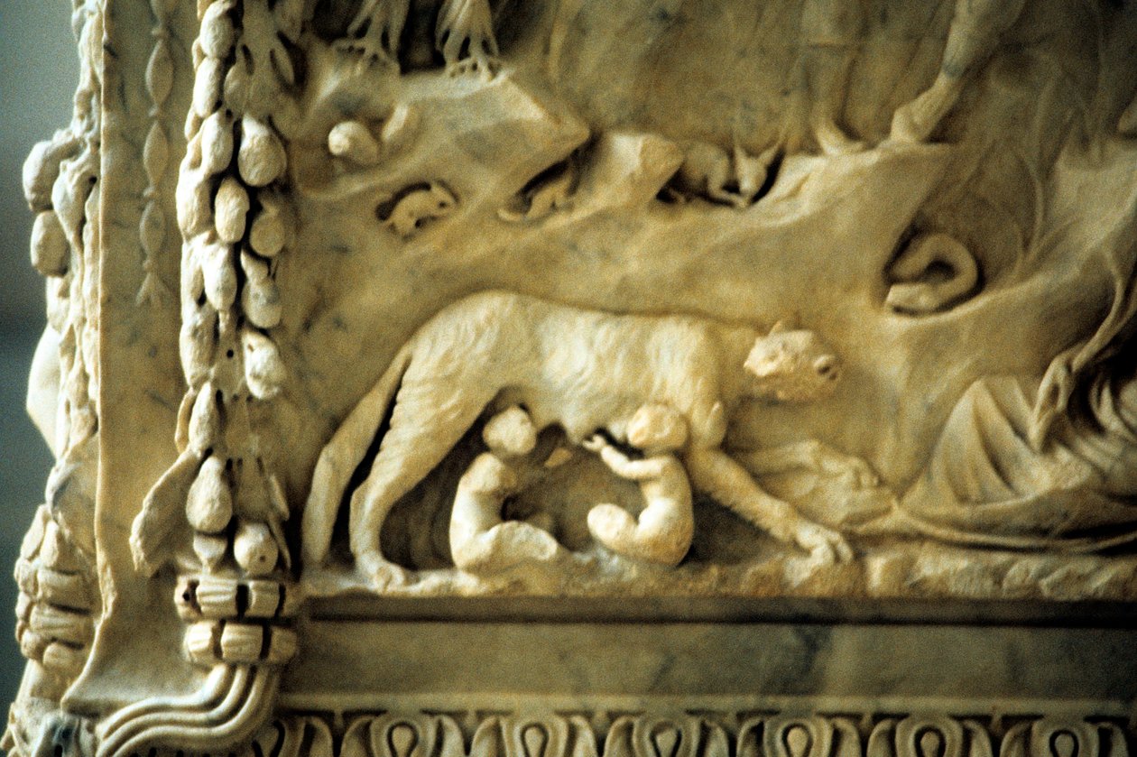 Romulus and Remus Suckling from the She-Wolf by Unbekannt