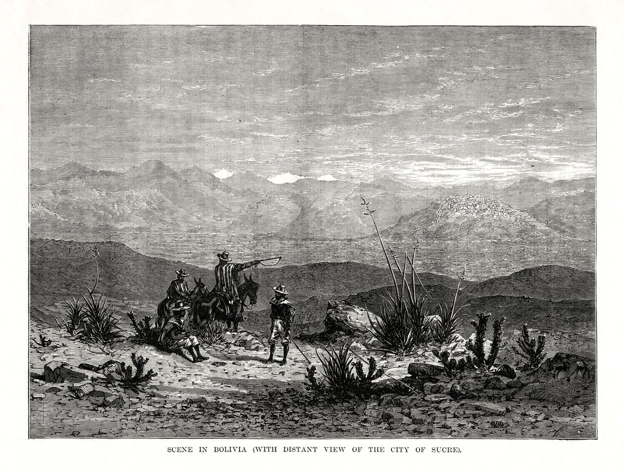 Scene in Bolivia, 1877 by Unbekannt