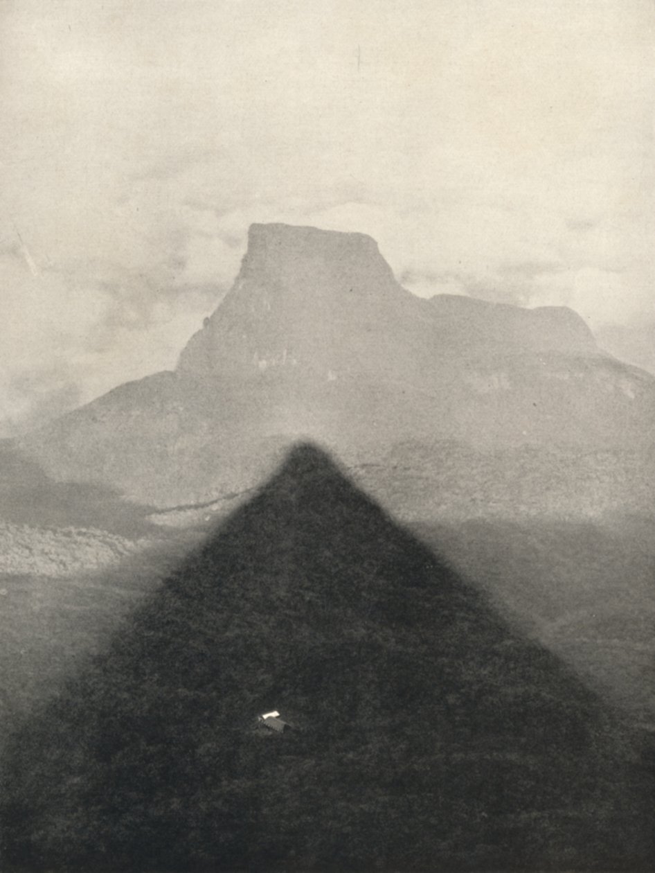 Shadow of Adam