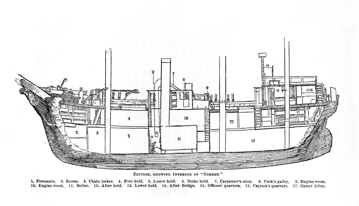 Section, Showing Interior of Nimrod by Unbekannt