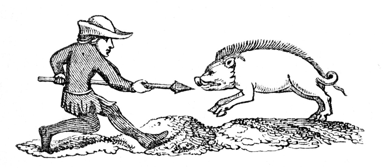 Spearing a Boar by Unbekannt
