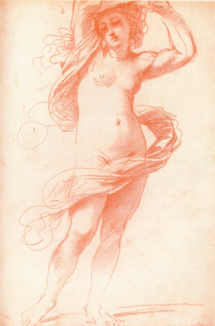 Standing Female Nude by Unbekannt