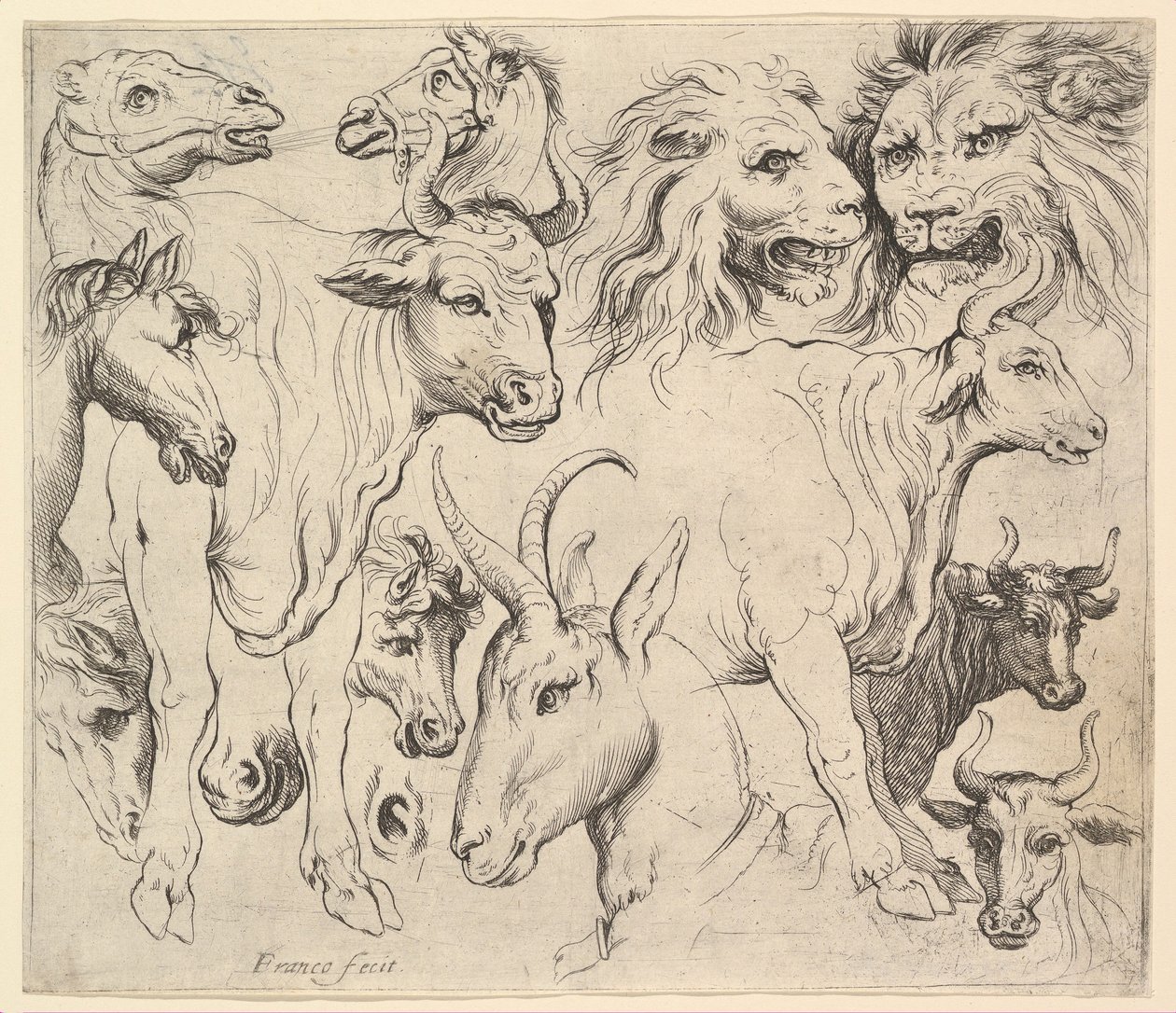 Studies of Heads by Unbekannt