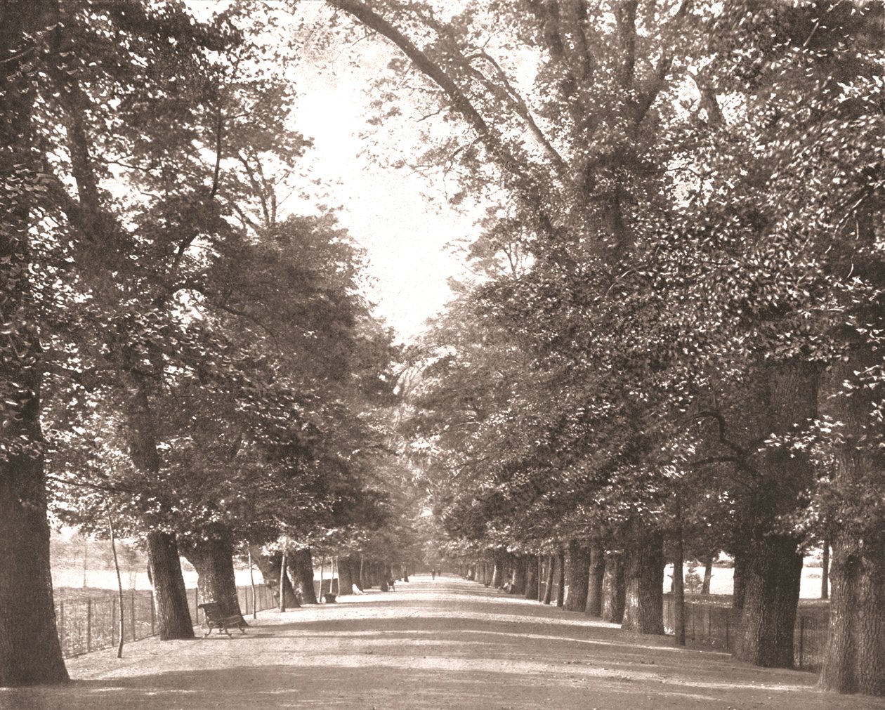 The Broad Walk, Oxford by Unbekannt