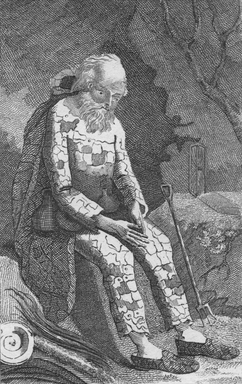 The Dinton Hermit, 19th Century by Unbekannt