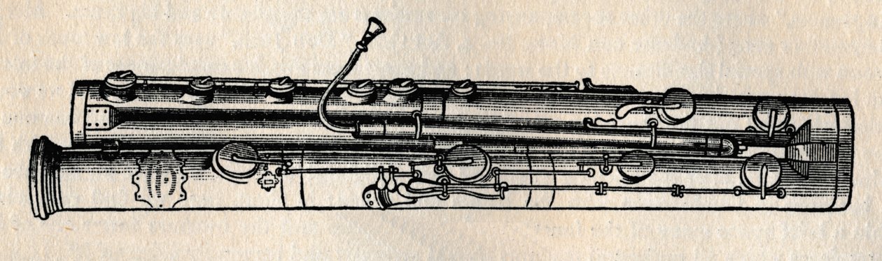 The Double Bassoon by Unbekannt