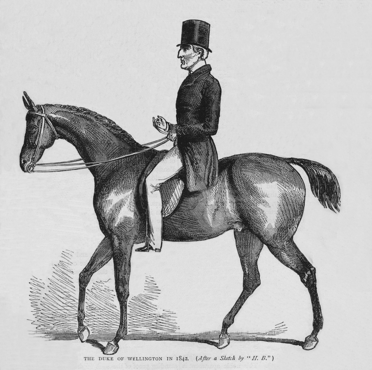 The Duke of Wellington by Unbekannt