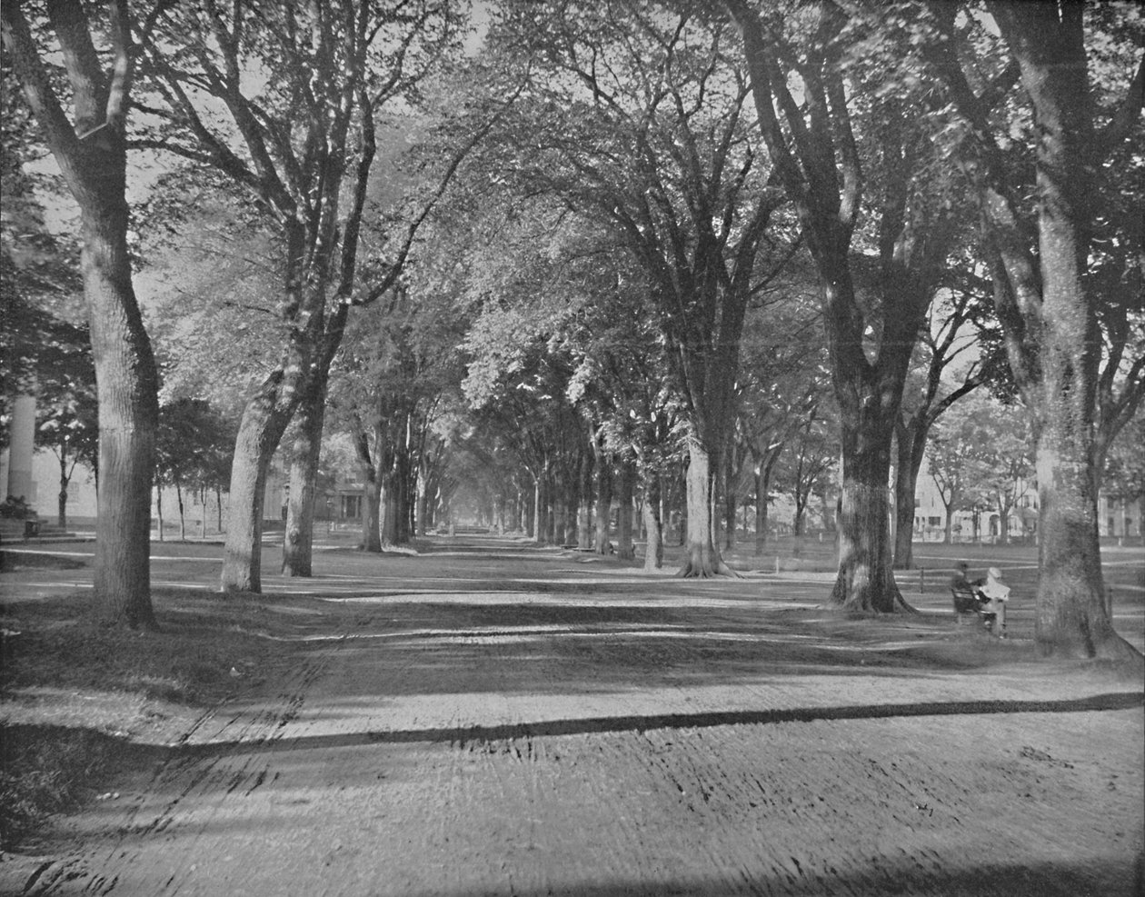 The Elms, New Haven, Conn. by Unbekannt