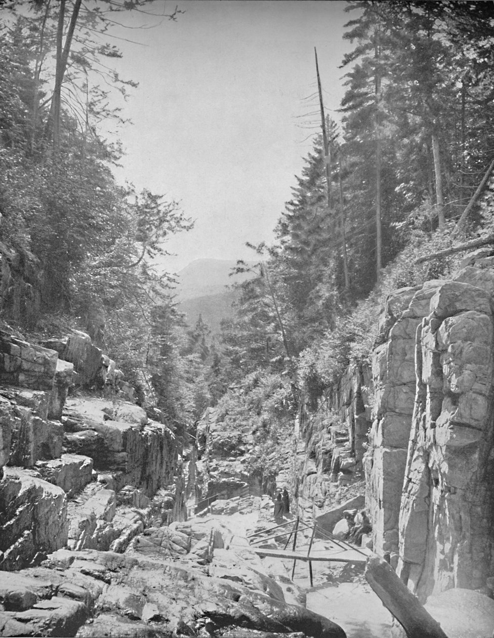 The Flume, Franconia White Mountains, N.H. by Unbekannt