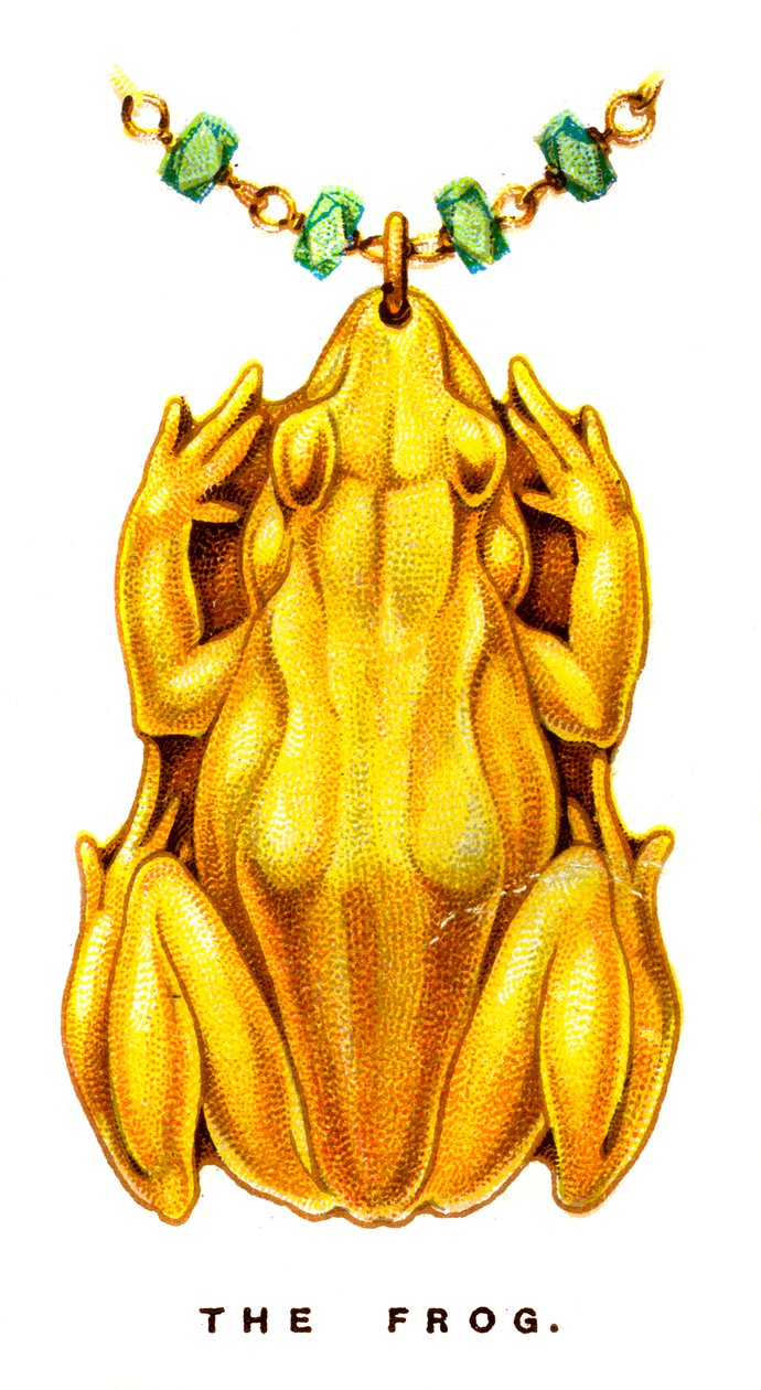 The Frog, 1923 by Unbekannt