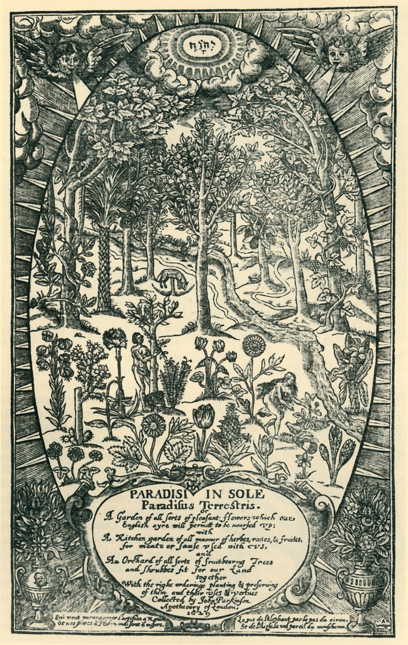 The Garden of Eden by Unbekannt