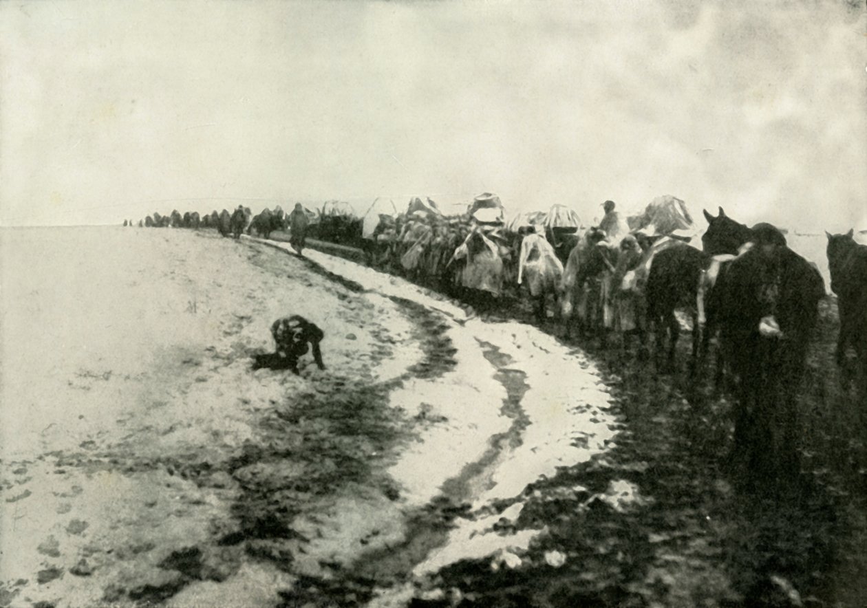 The Great Serbian Retreat by Unbekannt