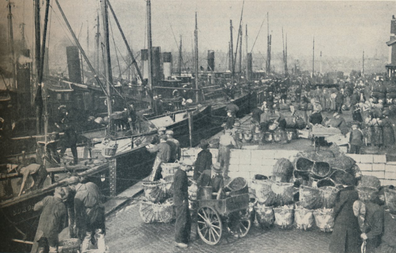 The Herring Season in Full Swing by Unbekannt