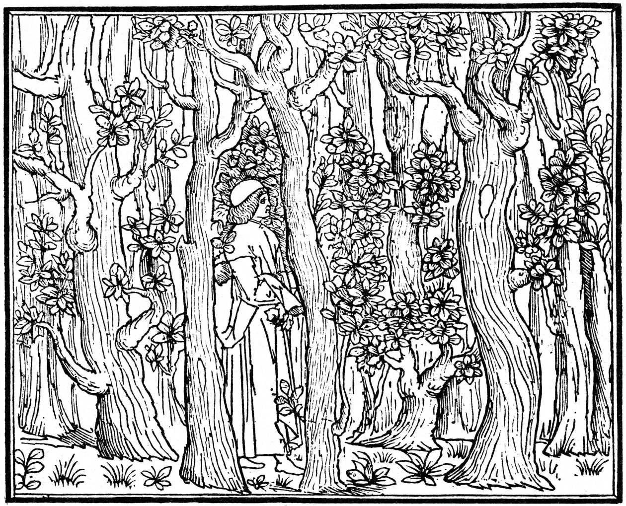 The Lover in the Wood by Unbekannt