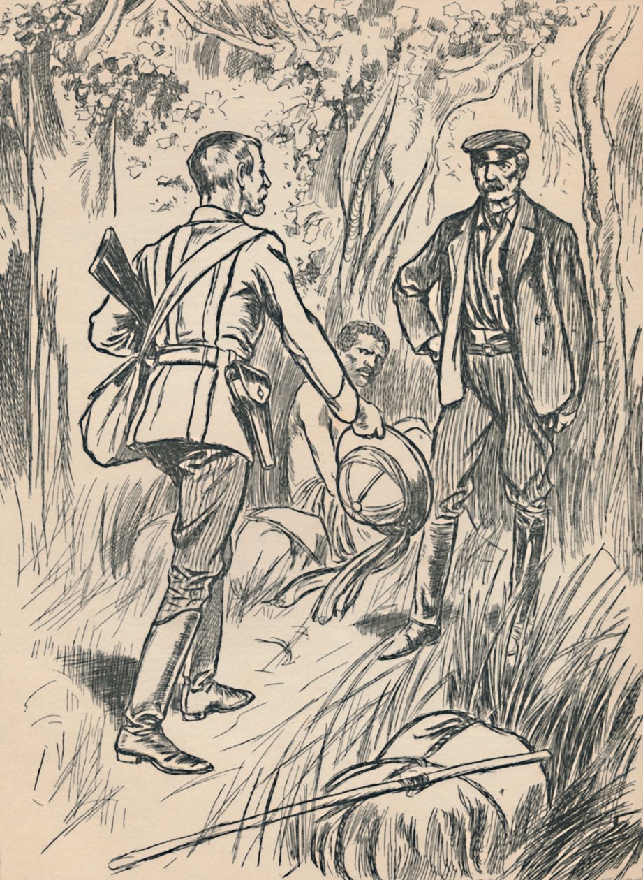 The Meeting of Stanley and Livingstone by Unbekannt