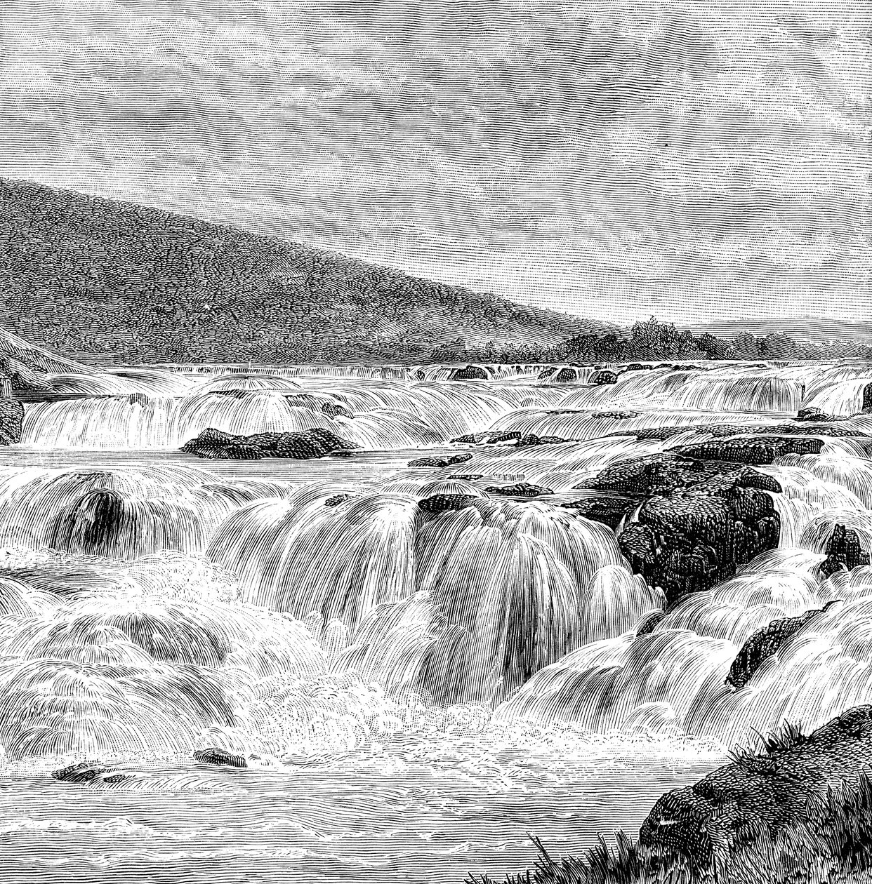 The Paikari Falls in the Nilgiris, India by Unbekannt