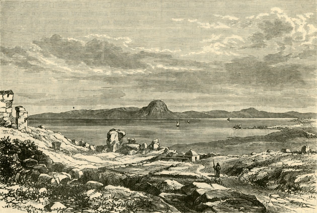 The Site of Carthage, 1890 by Unbekannt