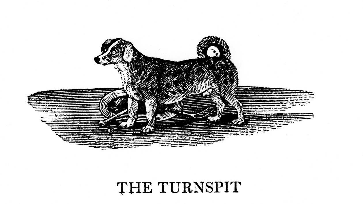 The Tunspit by Unbekannt