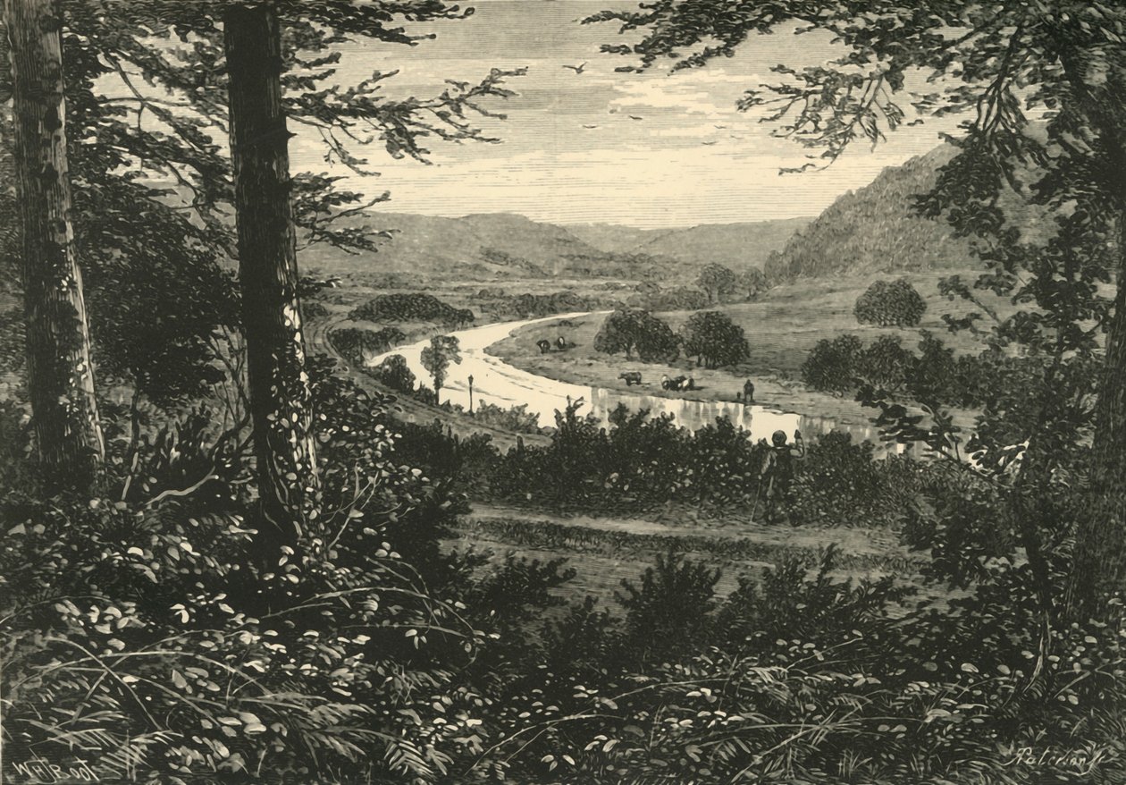 The Vale of Avoca by Unbekannt