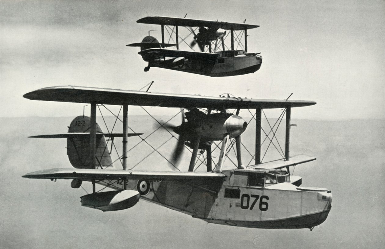 The Vickers-Armstrongs Walrus by Unbekannt