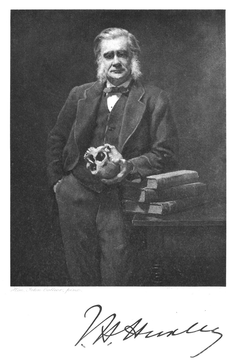 Thomas Henry Huxley, English Biologist by Unbekannt