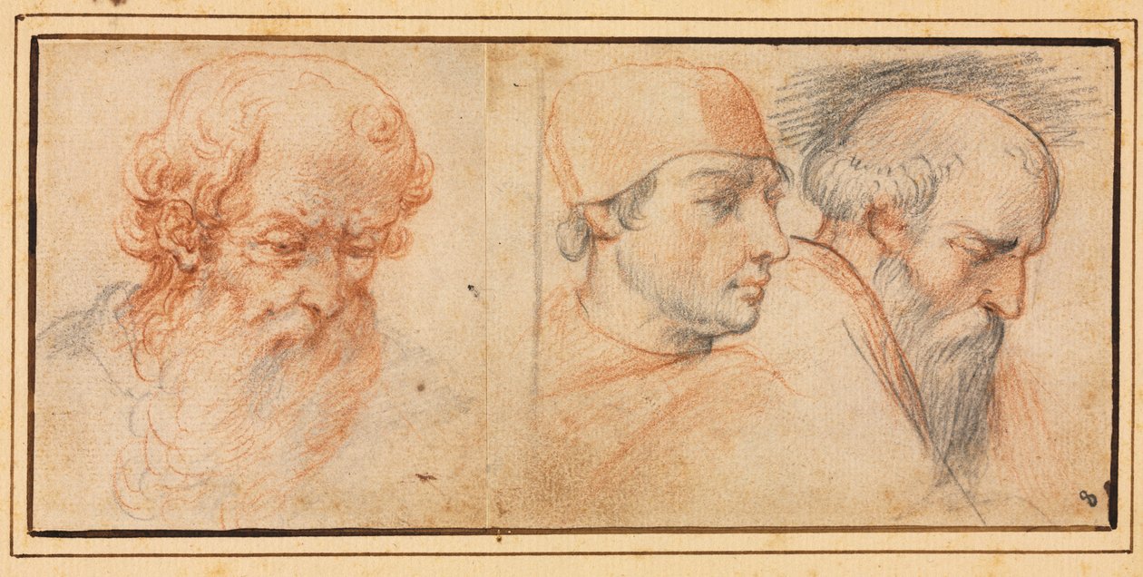 Three Head Studies by Unbekannt