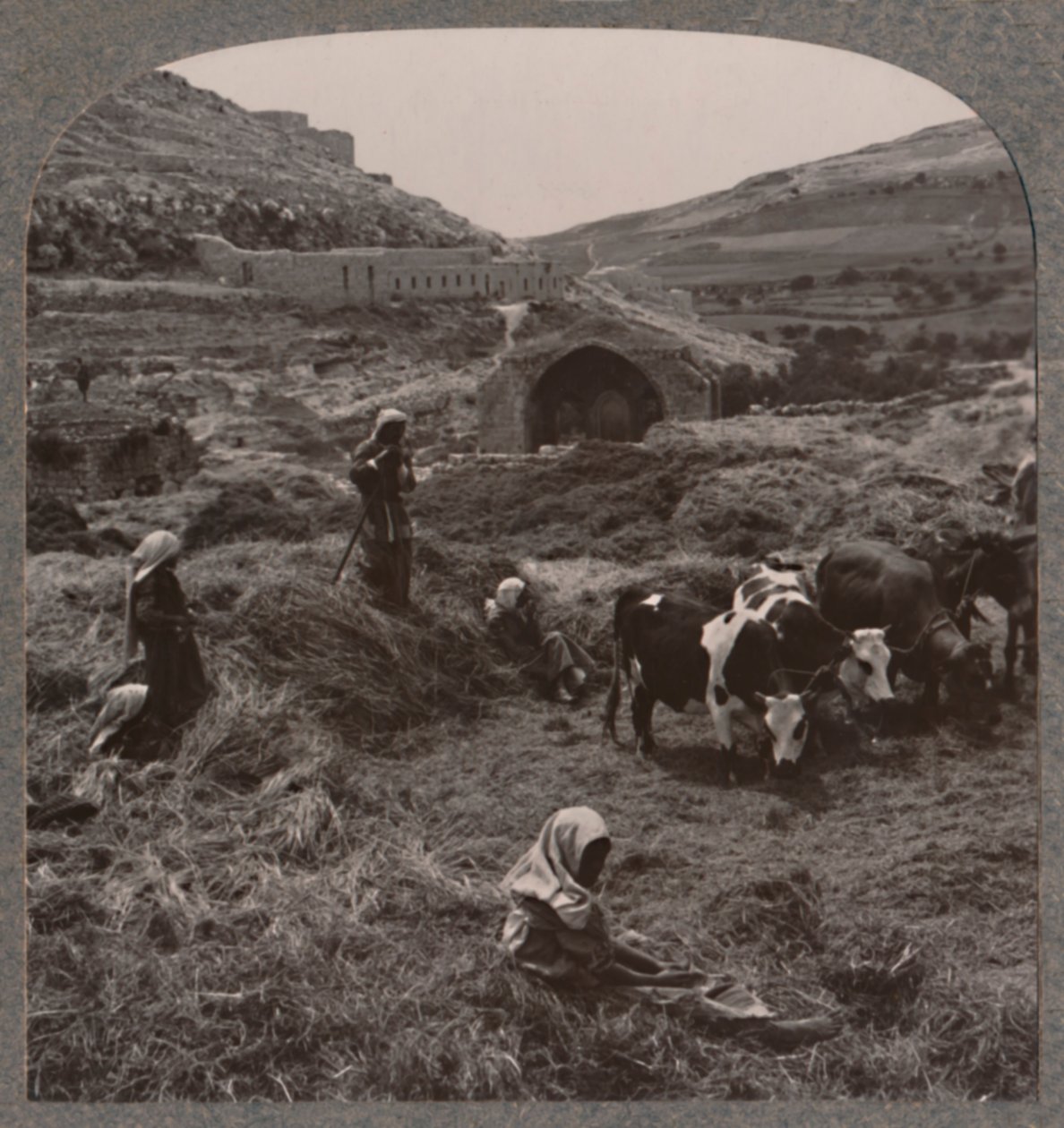 Threshing grain near Jacob