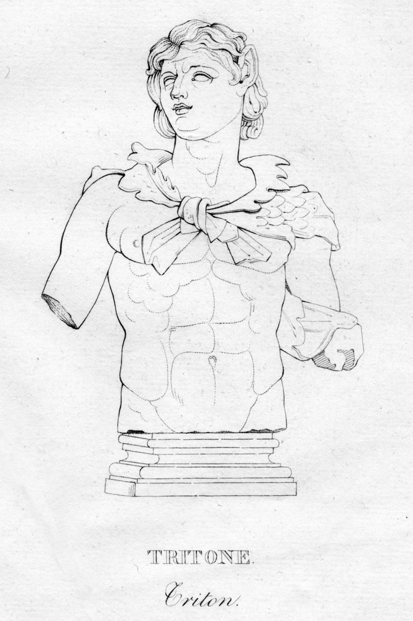 Tritone Triton, c. 1850 by Unbekannt