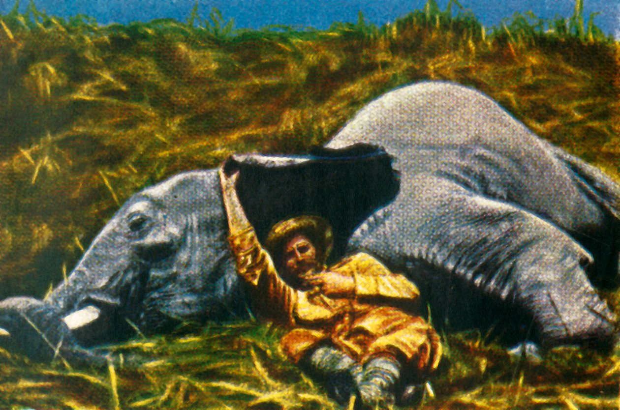 Trophy-hunter with dead elephant, c1928 by Unbekannt