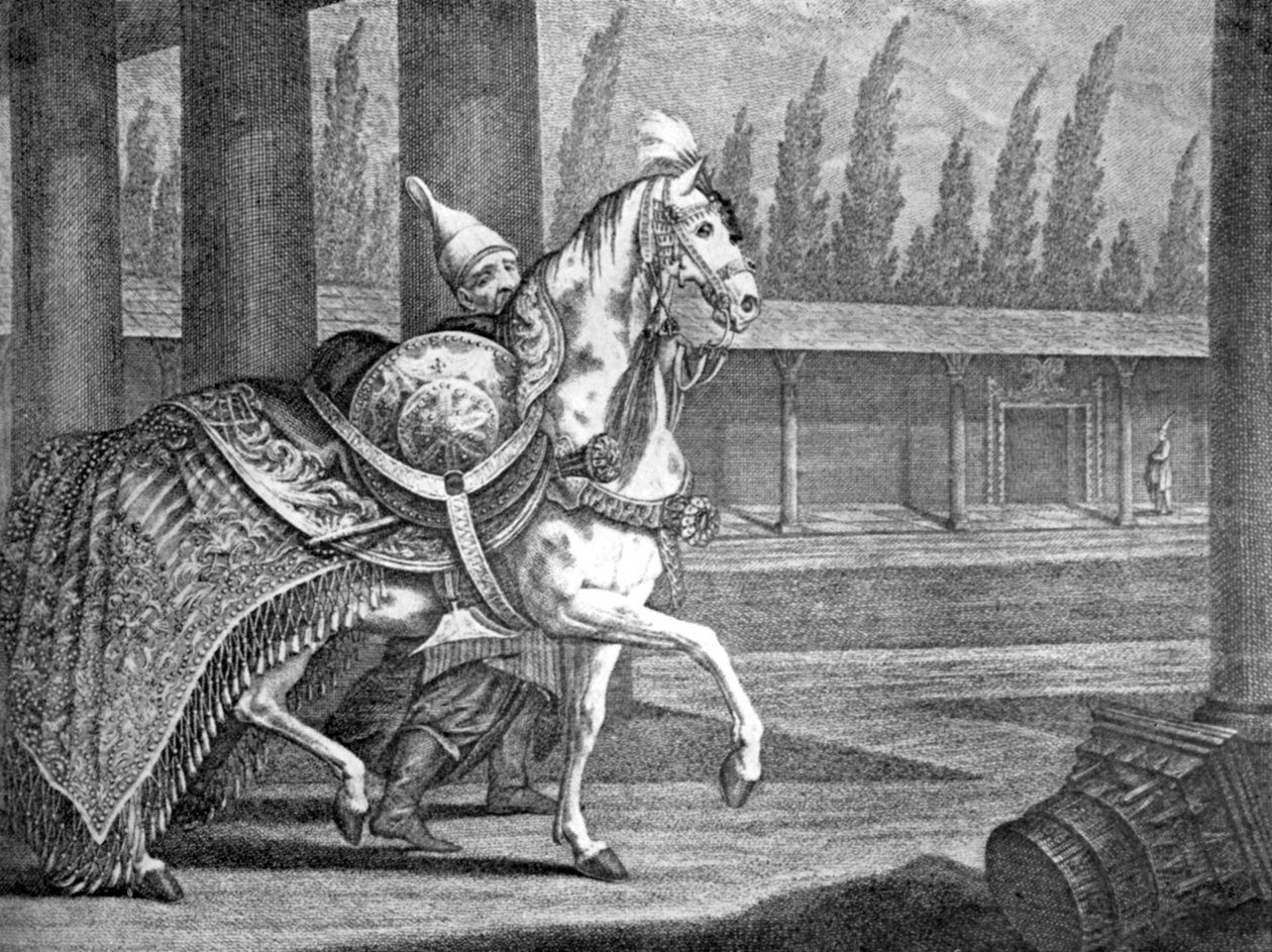 Turkish Sultan