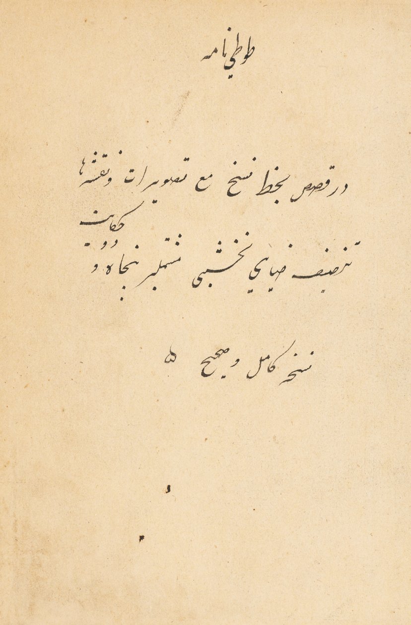 Tuti-Nama Tales of a Parrot by Unbekannt