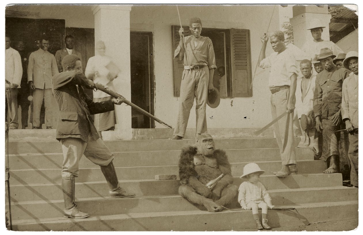 A tamed gorilla, c.1910 by Unbekannt