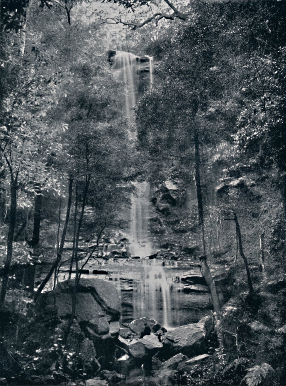 Valley of the Waters, Blue Mountains by Unbekannt