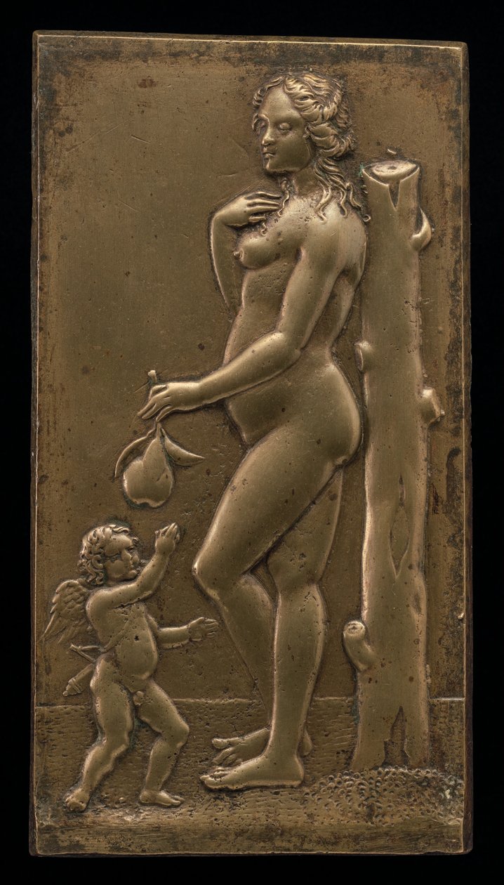 Venus and Cupid by Unbekannt