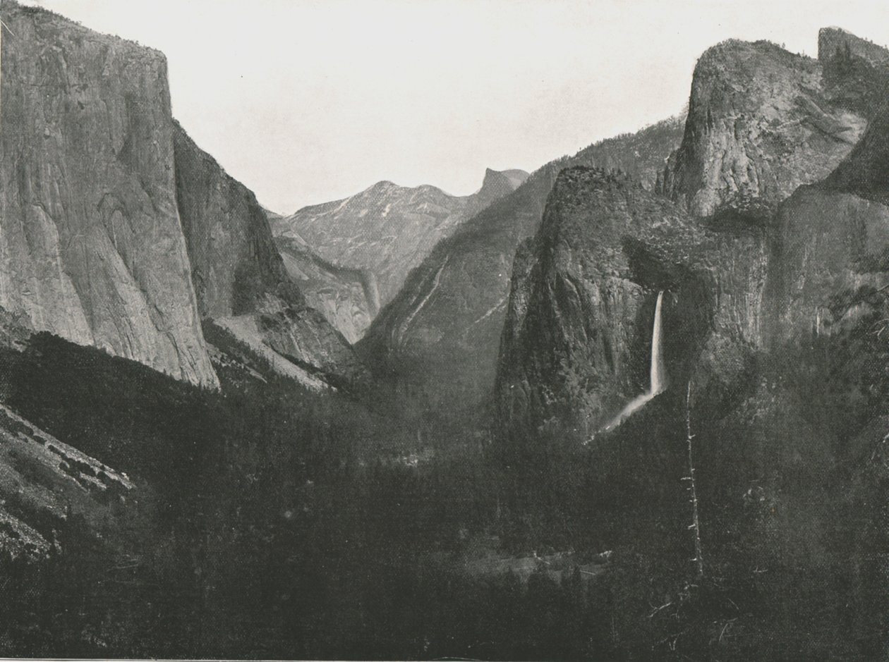 View from Artist
