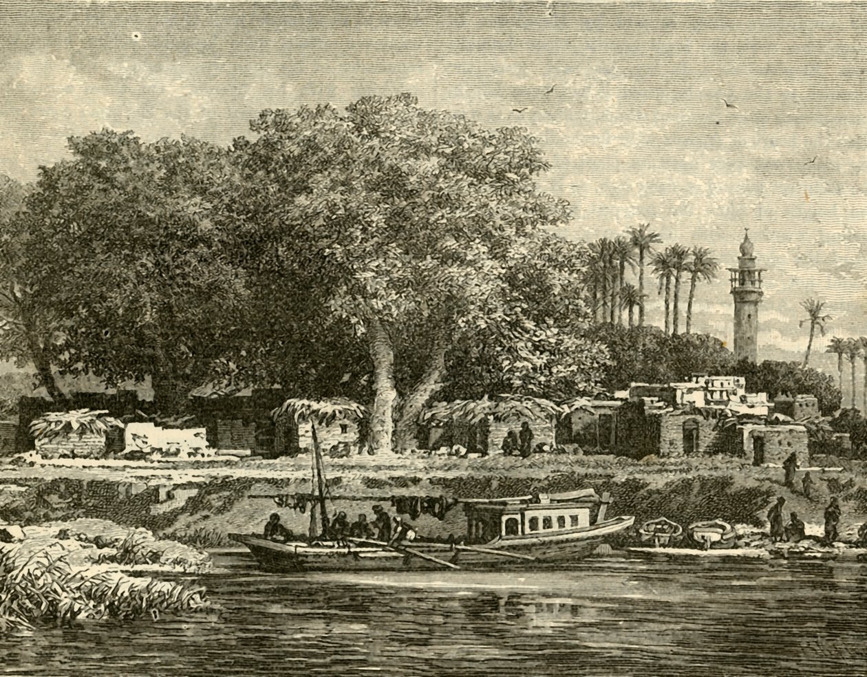 View on the Delta of the Nile, 1890 by Unbekannt