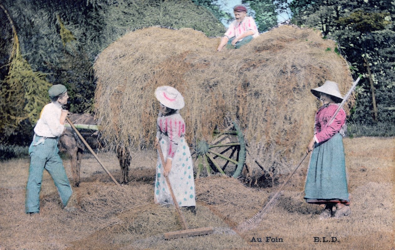 With the Hay by Unbekannt