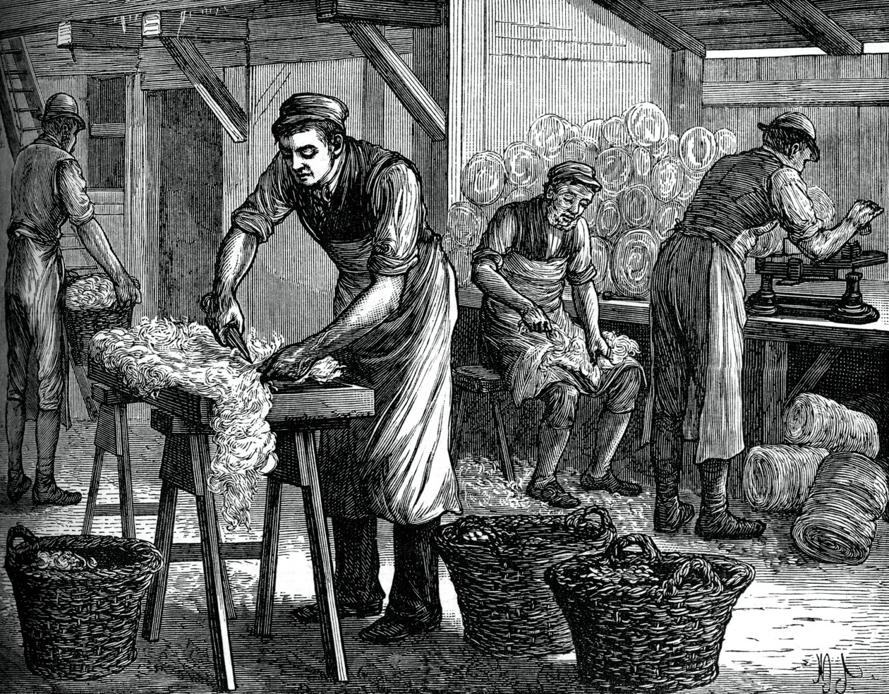Wool Sorters by Unbekannt