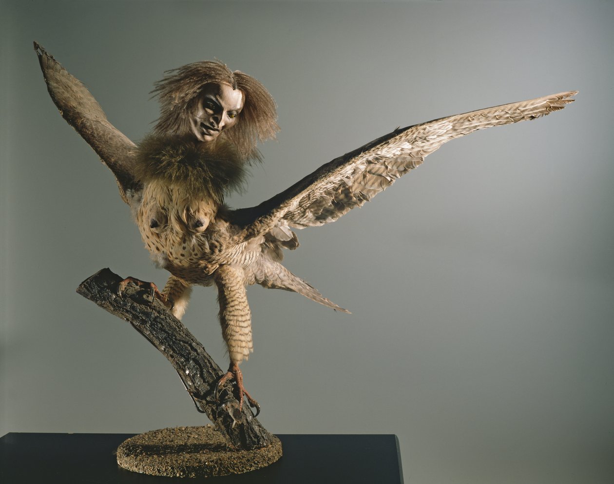 A Harpy by Unbekannt Unbekannt