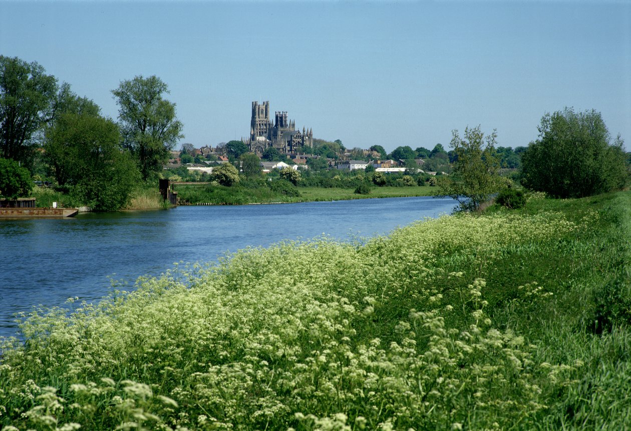 Ely Cathedral and the River Ouse by Unbekannt Unbekannt